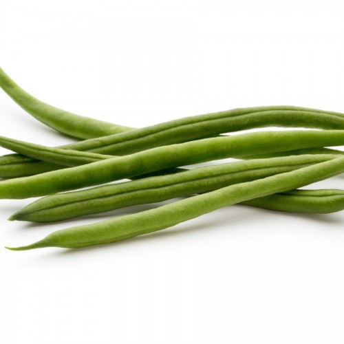 HARICOT VERT