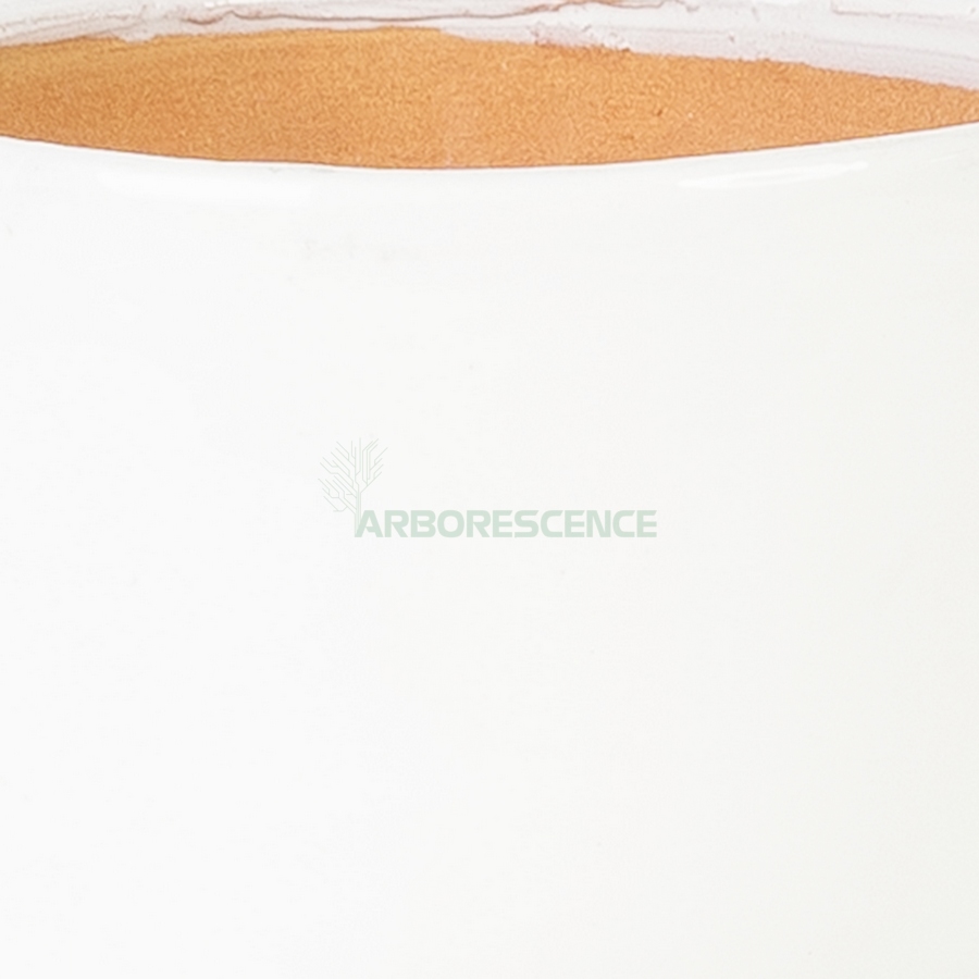 pot-ceramique-bol-d14-16