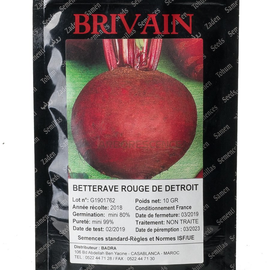 bettrave-rouge-detroit