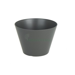 PORTO BOWL