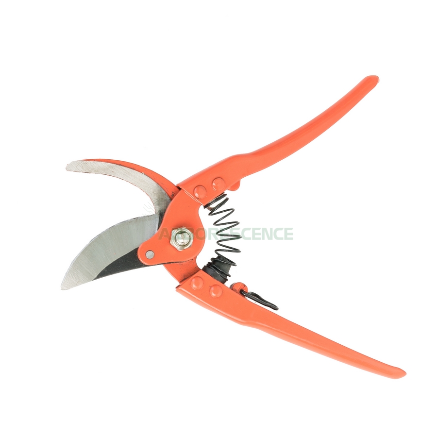 secateur-orange-se-831